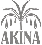 Studio Akina